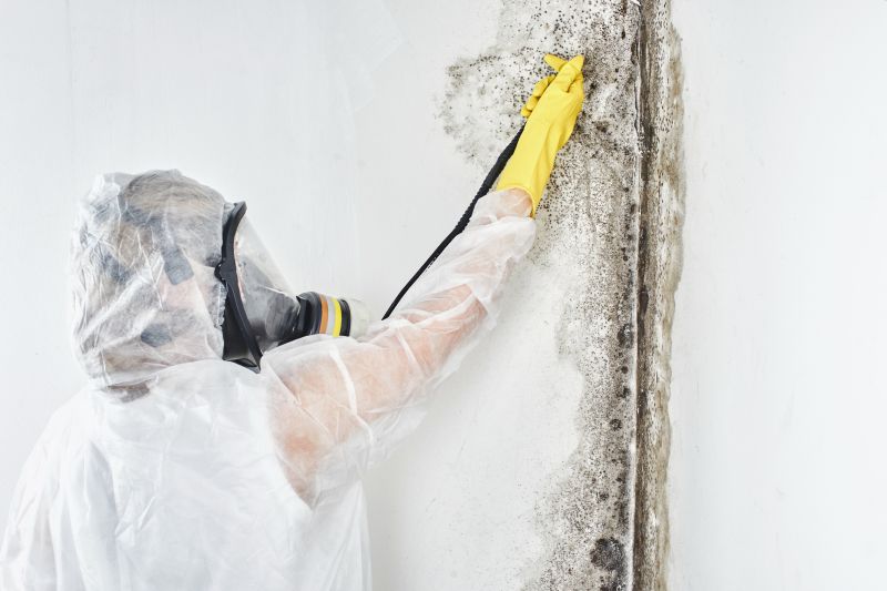 Mold Control in Mckinney, TX