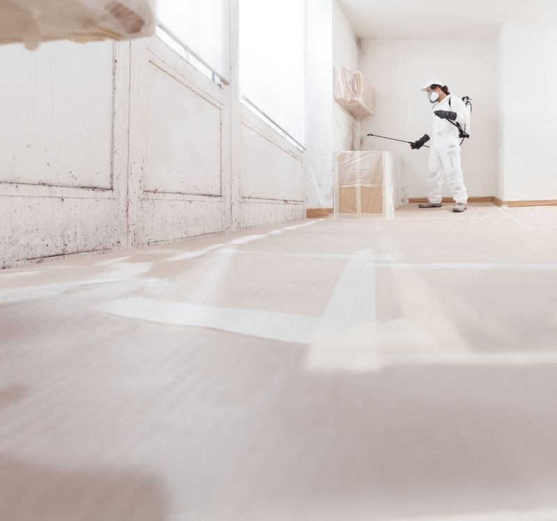 Air Duct Mold Removal in Broward County, FL