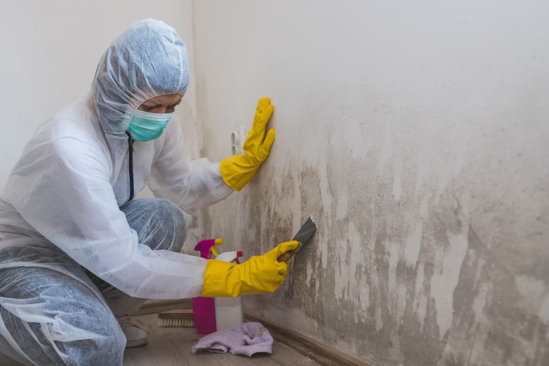 Attic Mold Remediation in Fort Worth, TX