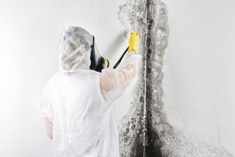 Basement Mold Remediation in Boca Raton, FL
