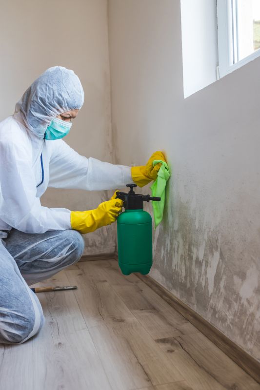 Basement Mold Removal in Fort Lauderdale, FL