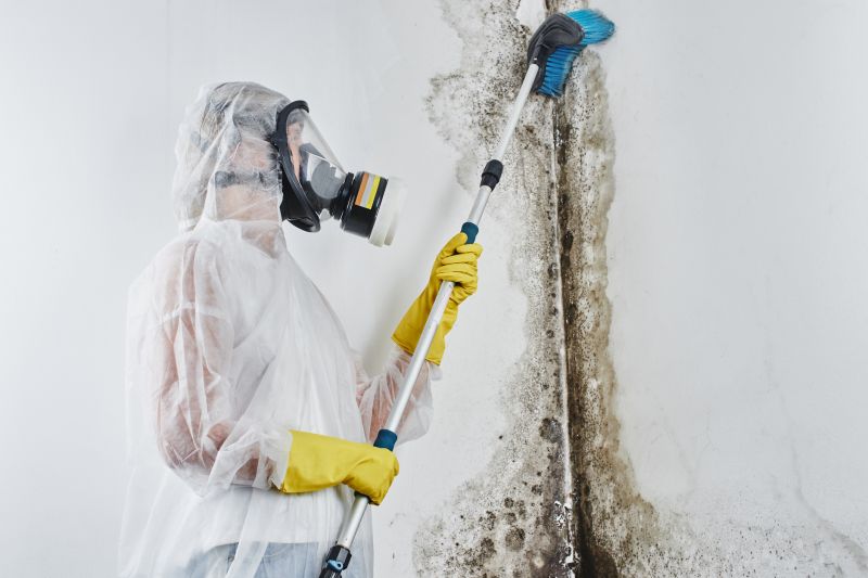 Ceiling Mold Removal in Broward County, FL