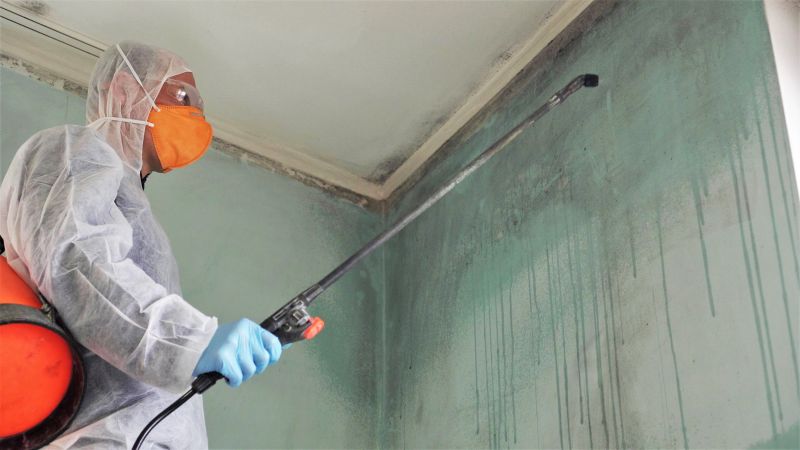 Ceiling Mold Removal in Boca Raton, FL