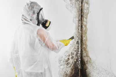 Mold Abatement in Dallas, TX
