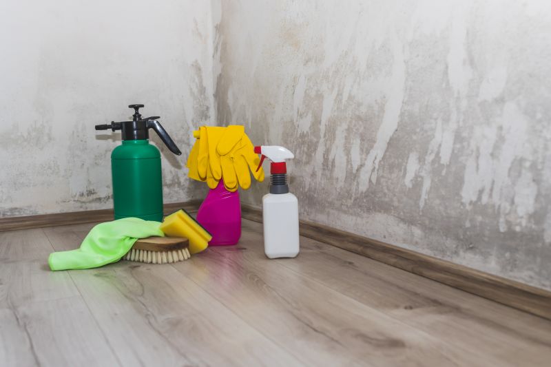 Mold Abatement Service in Frisco, TX