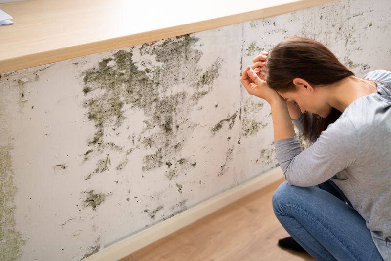 Mold Control in Palm Beach County, FL