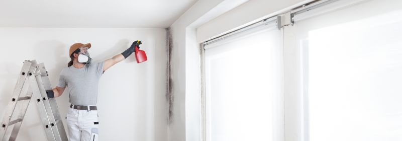 Mold Removal in West Palm Beach, FL