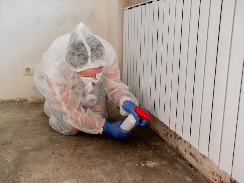 Mold Treatment Service in Bergen County, NJ