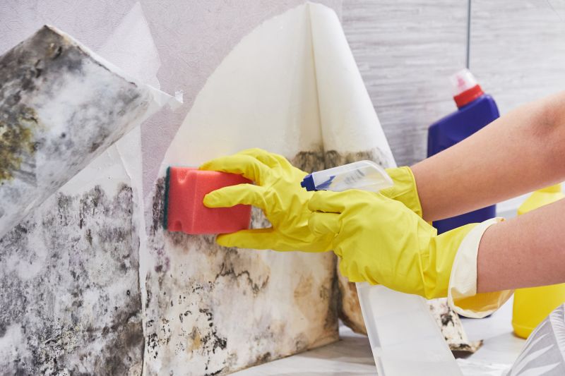 White Mold Mitigation in Frisco, TX